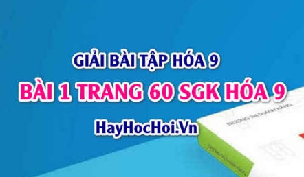 Giải bài 1 trang 60 SGK Hóa 9: Tính chất hóa học của SẮT Fe